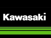 Kawasaki Sturzpads