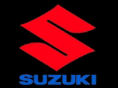 Suzuki Sturzpads