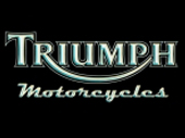 Triumph Sturzpads