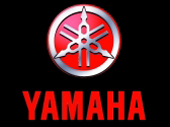 Yamaha Sturzpads